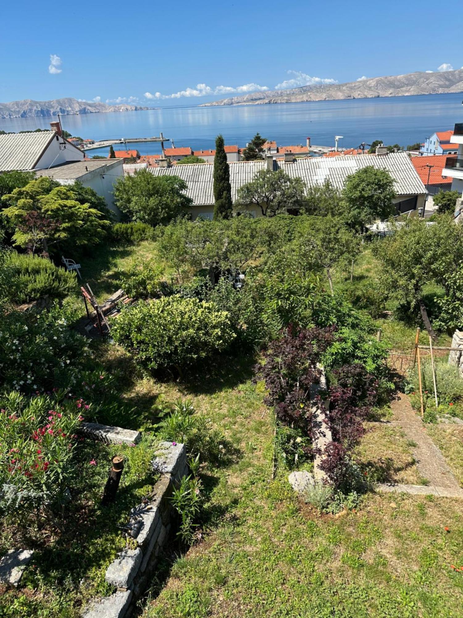 Villa Beba - Apartments Senj  Eksteriør bilde