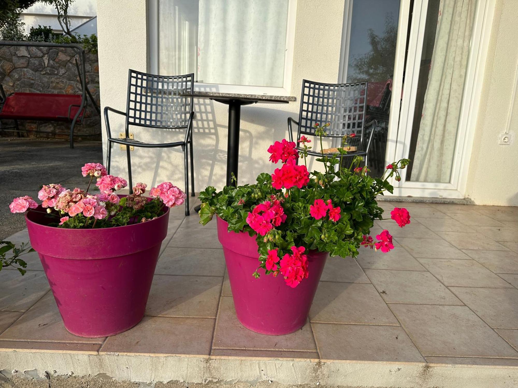 Villa Beba - Apartments Senj  Eksteriør bilde
