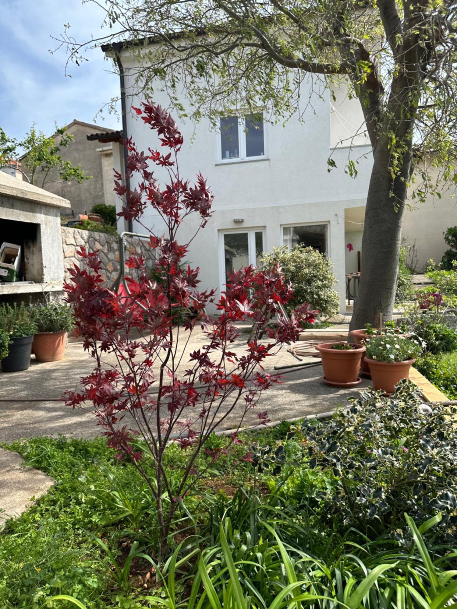 Villa Beba - Apartments Senj  Eksteriør bilde